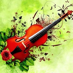 There is no name for this