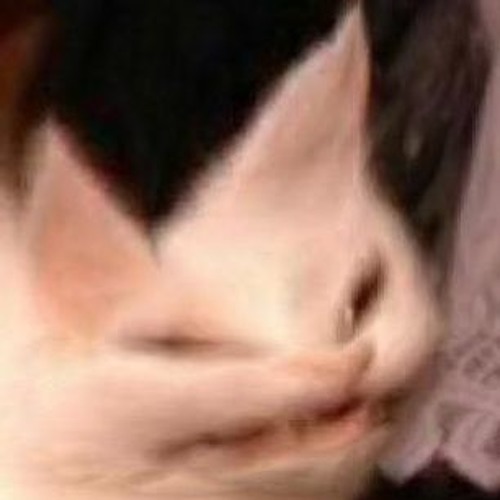 Tokio Hotel - Durch den Monsun (Techno Remix)