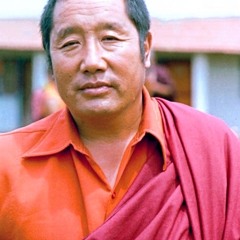 Essence Of Secret Mantras - H.H. Penor Rinpoche.