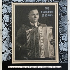 Francesco Maria Narcisi & Giacomo Fidanza " The Accordion Sessions"... C3 - (Ritorno)