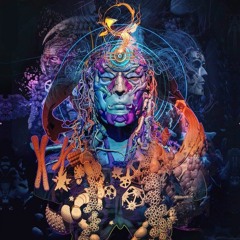 Alucine Psychedelic Chillout DJ Sets - Forest Portal