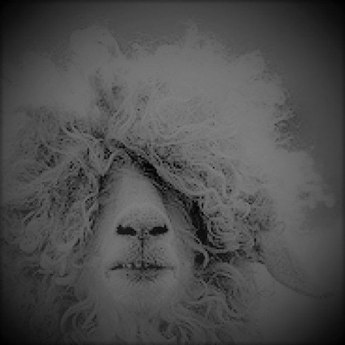~Mystiq~ Girls with Curly hair wake up like this... Have a Good Sunday ;)
