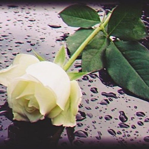 DESCANSA EN PAZ "LELE EL ARMA SECRETA - "SECRET·FAMILY"
