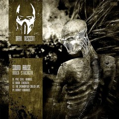 Sound Abuse - Inner Strength
