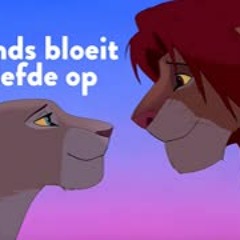 De Leeuwenkoning   Liedje  's Avonds Bloeit De Liefde Op   Disney BE