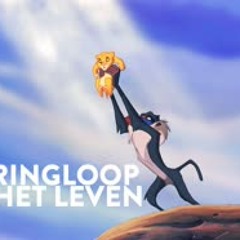 De Leeuwenkoning   Liedje  De Kringloop van het Leven   Disney BE