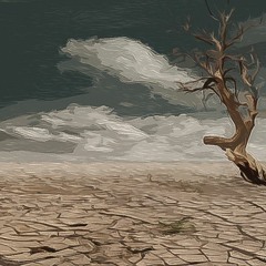 Wasteland (VST2413s)