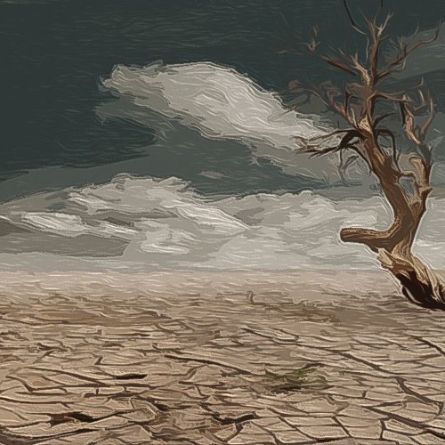 Wasteland (VST2413s)