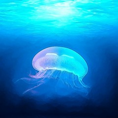 Deep Blue (Full Bucket Nabla)