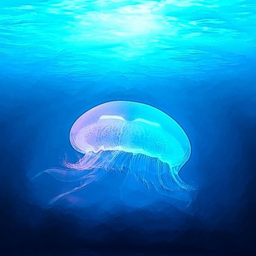 Deep Blue (Full Bucket Nabla)