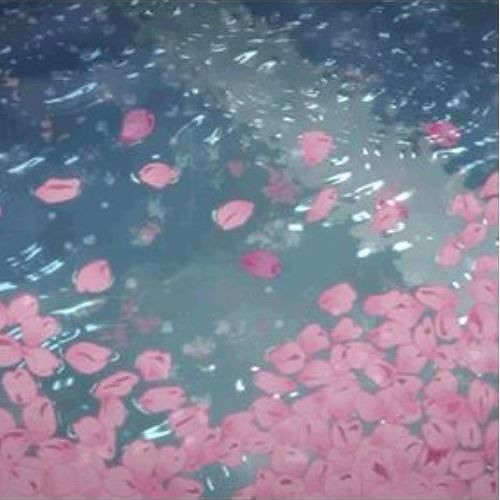 zola x Soya Beats - teardrop candy