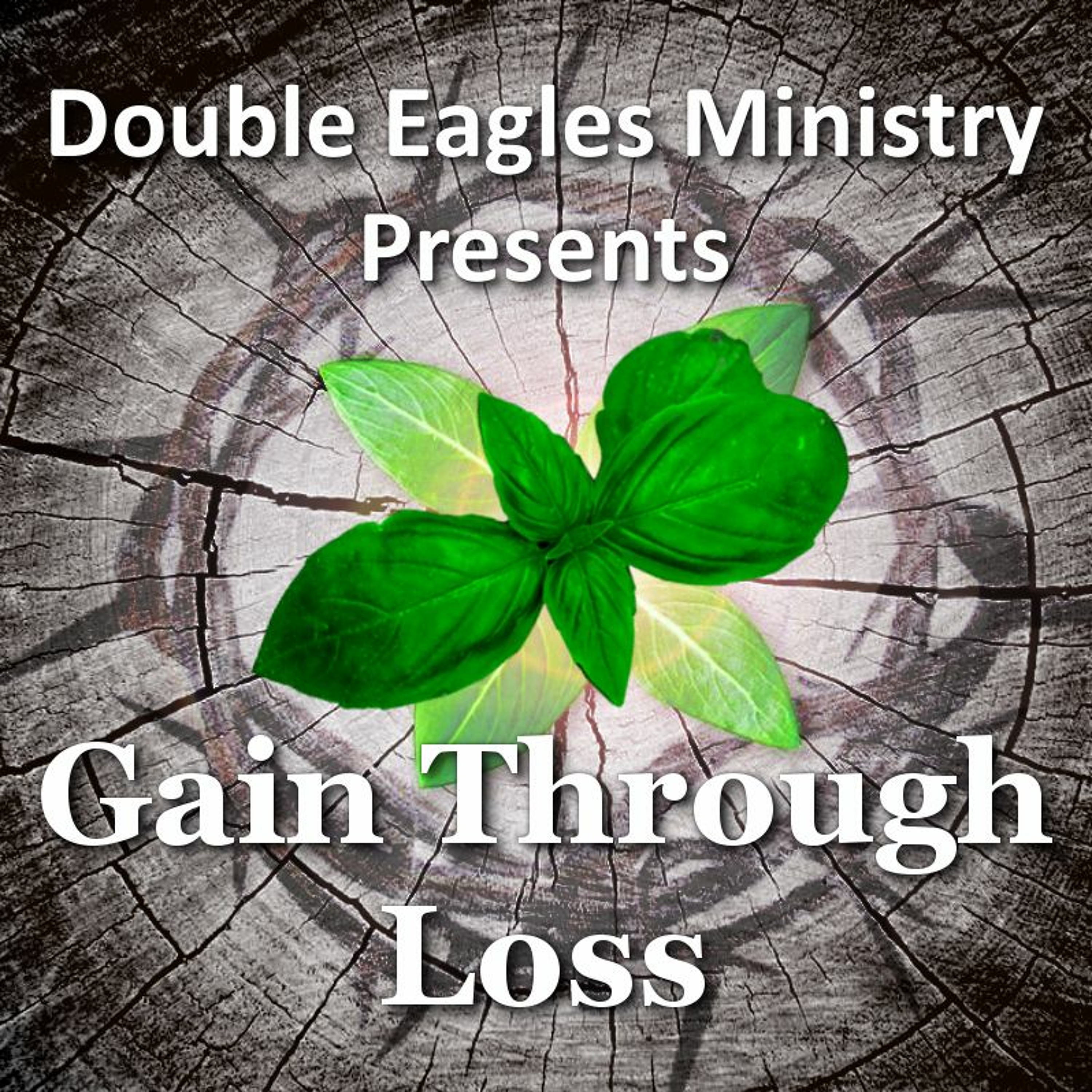 Gain Through Loss episode artwork