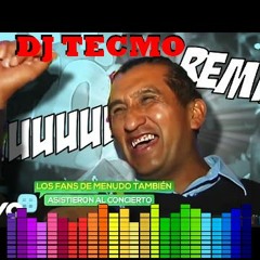 Wuuuuuu #HayMuchasCosasWuuuuu!(Dj Tecmo Remix)