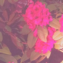 take me away and fall