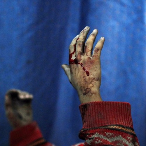 هذه الأرض للجميع - أنيس شوشان