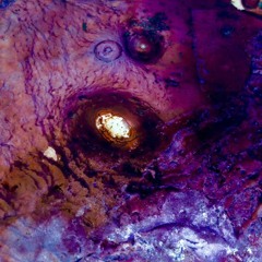 GrandMal - Kombathing