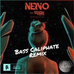 NERVO ft. Timmy Trumpet - Anywhere You Go (Bass Caliphate Remix)
