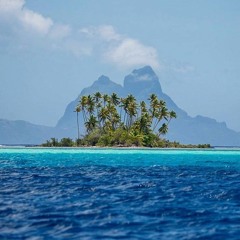 Paradise Grooves Vol. 4