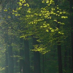 Explorations of Heart Space (Bear Lake 2012 Mix)