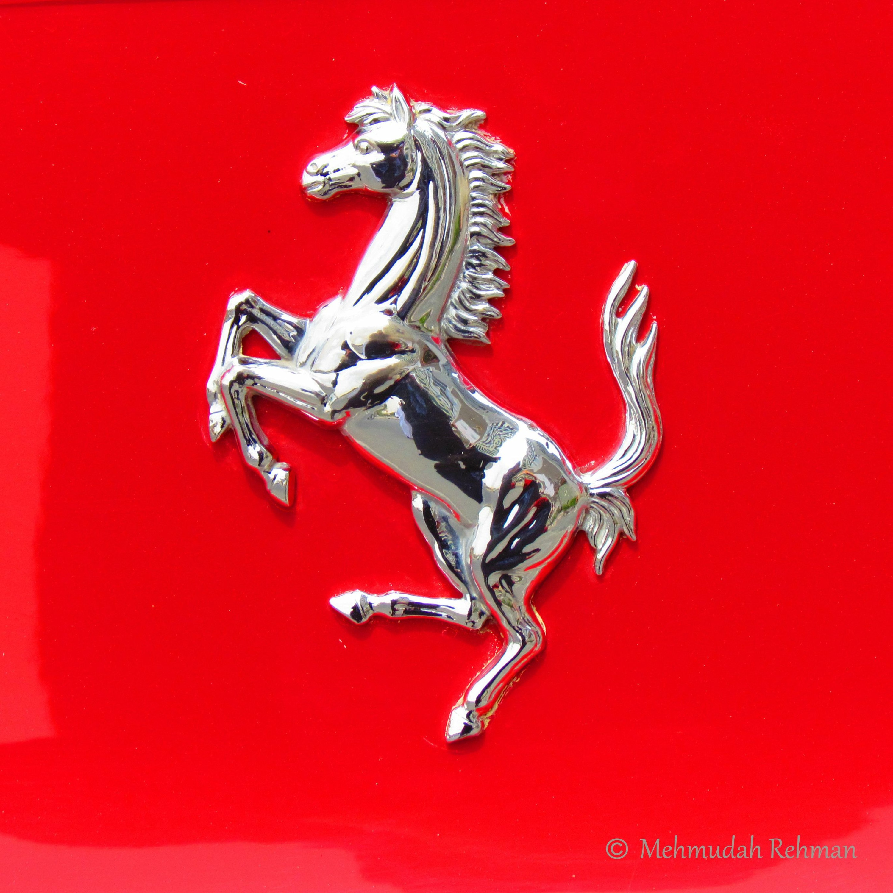 Horseplay- Lozo Musico episode artwork