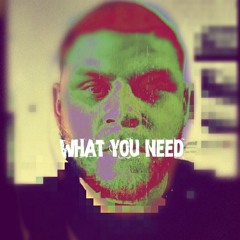 What You Need
