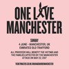 Black Eyed Peas and Ariana Grande - Where Is The Love (One Love Manchester)