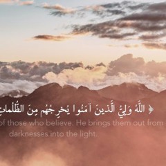 اللّهُ وليُّ الذينَ آمنوا.. تلاوة عذبة للقارئ ناجي الجعفراوي