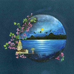 ömer faruk tekbilek - dreamy eyes