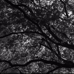 04:06:2017, [23.01] No:2