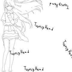 Shelter (TVRNPHD Lofi Flip)