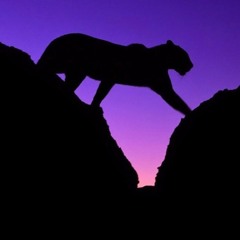 K. Cam -  I Made This In 5 Minutes