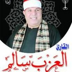 الشيخ العزب سالم اخر الاعراف اول الانفال -مصطاى قويسنا محافظة المنوفية