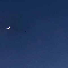 suuspended x camarii - serene