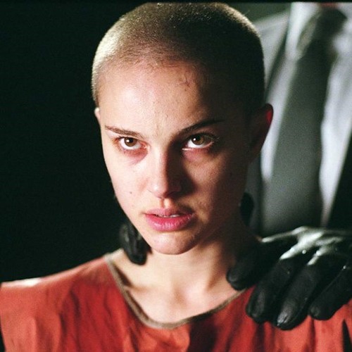 VENDETTA