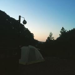 Early Morning Forest ~ Ambient nature Sounds