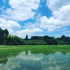YACHIMATA_170605