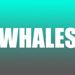 MattMarios_Editable-Downloads