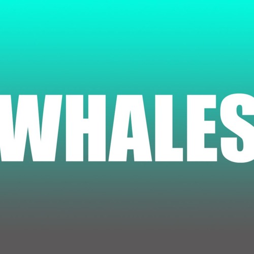 MattMarios_Editable-Downloads