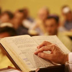 קליפ 46: אל תצא מהבית לבד