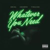 Meek Mill Whatever You Need Feat Chris Brown And Ty Dolla Ign Mp3