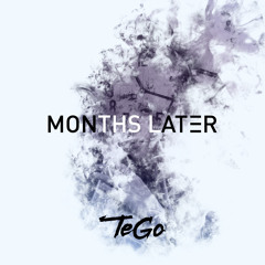 TeGo - Months Later