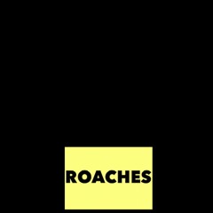 Roaches