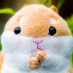 คำบางคำ เทสเสียง /Michell