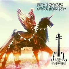 Seth Schwarz - Afrika Burn 2017 - The Spirit Train at Hauptbahnhof - Friday Night - Tankwa