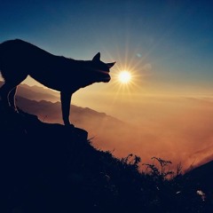 KOSS PRODUCTION | Éris Instrumental Cloud Rap