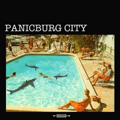 Falling Out Of The Sky