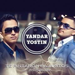 Yandar & Yostin Ft. Andy Rivera- Te Pintaron Pajaritos En El Aire (Mike Vallés Remix)