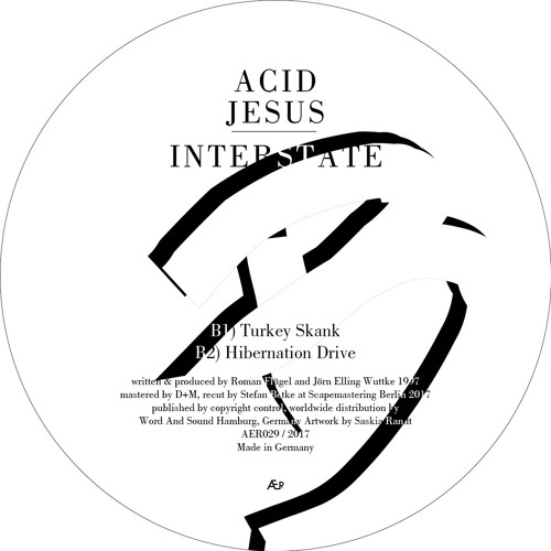 Turkey Skank (mp3 snippet)