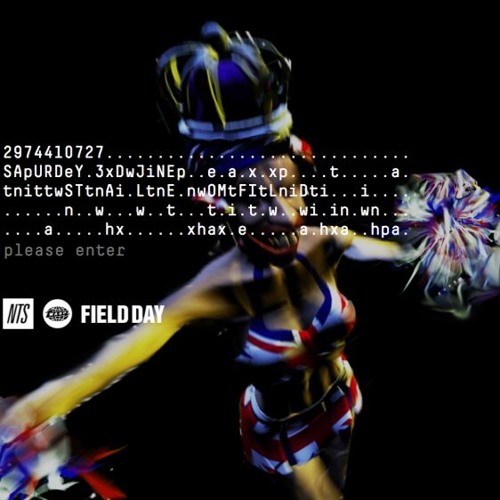 Aphex Twin Field Day Live Set