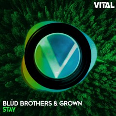 Blüd Bröthers & Grown - Stay [Vital Release]